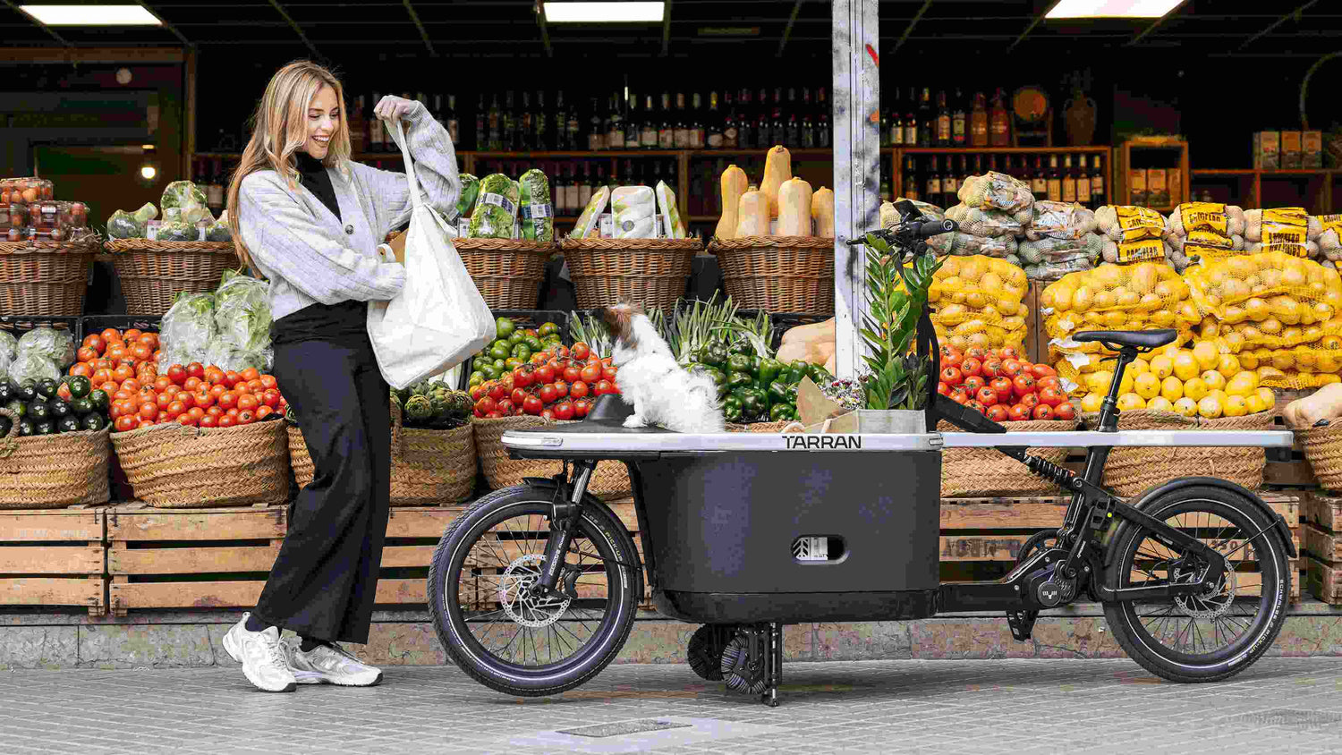 Frau lädt Einkäufe in TARRAN E-Lastenrad mit Hund