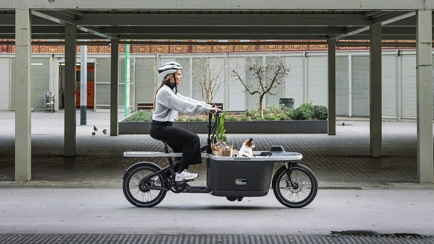 Woman riding a TARRAN electric cargo bike with a dog in the city