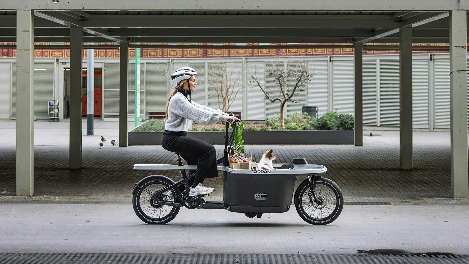 Woman riding a TARRAN electric cargo bike with a dog in the city