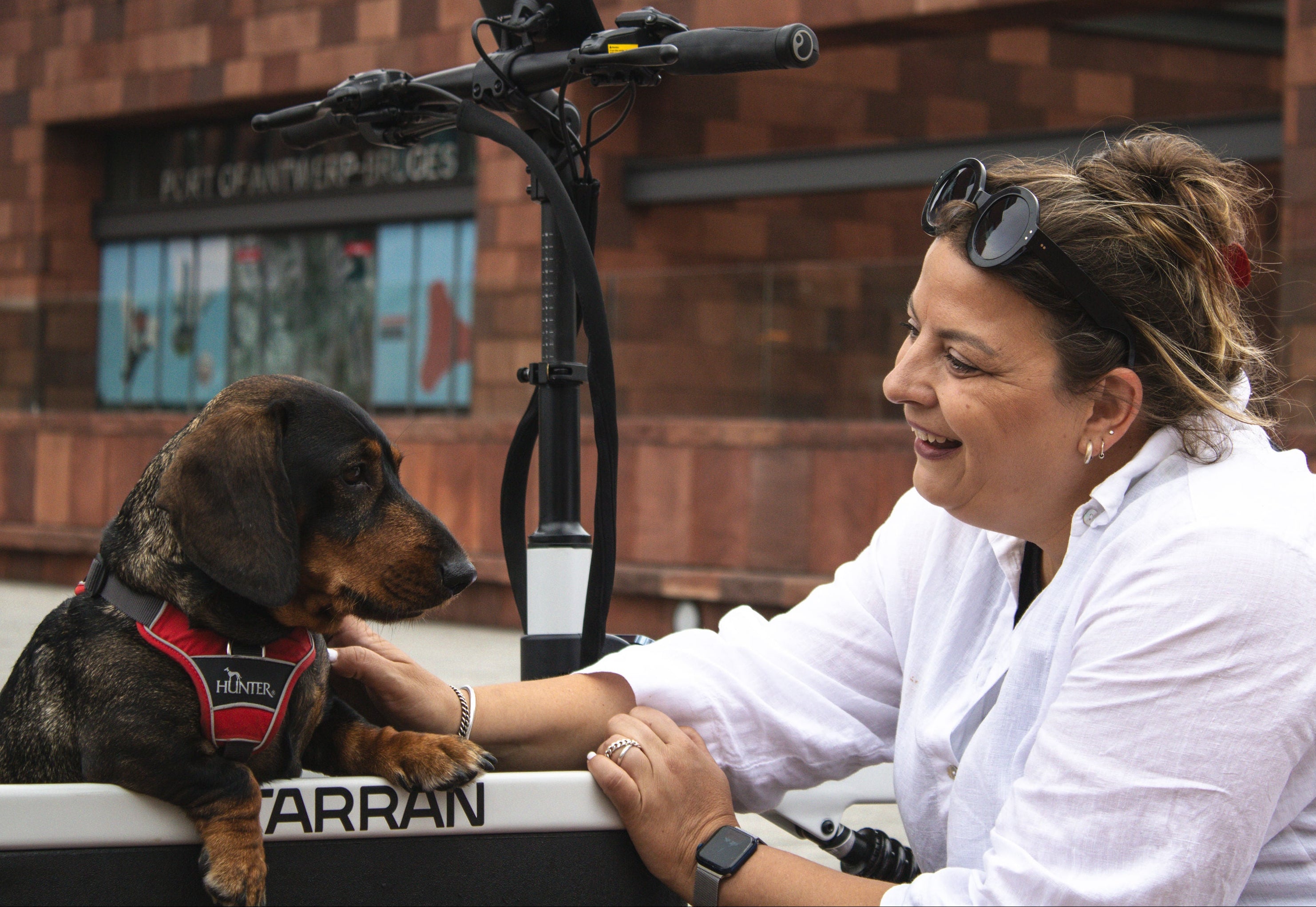 Ride Free. Arrive Charged.