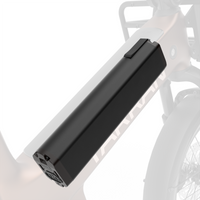 693Wh(47.19V/14.7Ah) Batterij